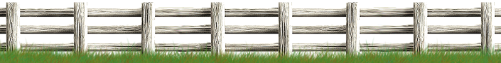 <img:stuff/Fence-White705X90.png>