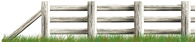 <img:stuff/Fence-White_endLft390X85.png>