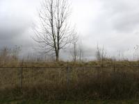 <img200*0:stuff/Fence.jpg>
