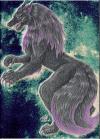 <img100*0:stuff/Feral.jpg>