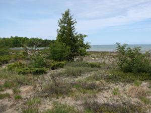 <img300*0:stuff/Field%20Trip%202009%20030.jpg>