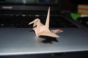 <img300*200:stuff/Finished_crane.jpg>