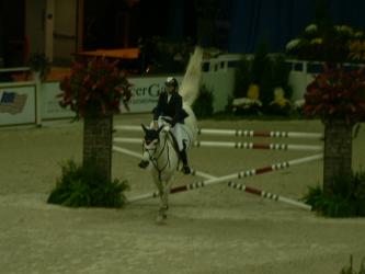 <img0*250:stuff/Finished_horse_jump.jpg>