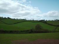 <img200*0:stuff/Firenze_1stmay_countrysideandriverpic.jpg>