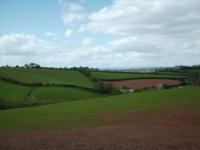 <img200*0:stuff/Firenze_1stmay_countrysideandriverpic1.jpg>