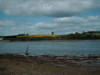<img200*0:stuff/Firenze_1stmay_countrysideandriverpic3.jpg>