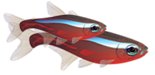 <img:stuff/Fish_1_2of_right.png>