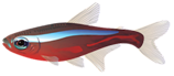 <img:stuff/Fish_1_left.png>