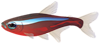 <img:stuff/Fish_1_leftSM.png>
