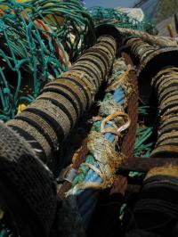 <img200*0:stuff/Fishing_Nets_I.jpg>