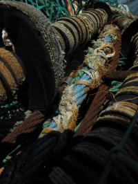<img200*0:stuff/Fishing_Nets_II.jpg>