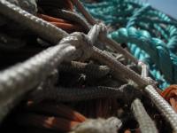 <img200*0:stuff/Fishing_Nets_IV.jpg>