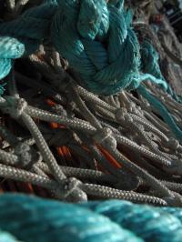 <img200*0:stuff/Fishing_Nets_V.jpg>