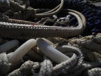 <img200*0:stuff/Fishing_Nets_VI.jpg>