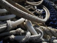 <img200*0:stuff/Fishing_Nets_VII.jpg>