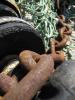 <img0*100:stuff/Fishing_Nets_VIII.jpg>