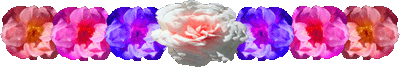 <img:stuff/FlowerVarDivLg.gif>