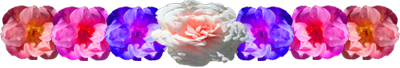 <img:stuff/FlowerVarDivLg.png>