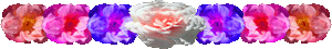 <img:stuff/FlowerVarDivSM.gif>