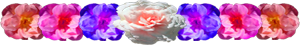 <img:stuff/FlowerVarDivSM.png>