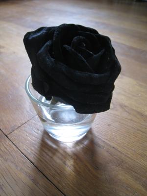 <img300*0:stuff/FlowerVasewk4.jpg>