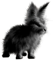 <img:stuff/FluffyBunnyBlk.png>