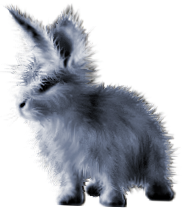 <img:stuff/FluffyBunnyBlueSilverRev.png>