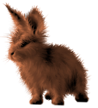 <img:stuff/FluffyBunnyChestnutRev.png>
