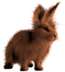 <img:stuff/FluffyBunnyChestnutSM.png>