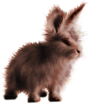 <img:stuff/FluffyBunnyRusty.png>
