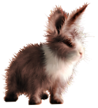 <img:stuff/FluffyBunnyRustyDutch.png>