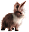 <img:stuff/FluffyBunnyRustyDutchSM.png>