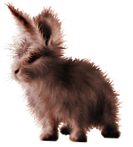 <img:stuff/FluffyBunnyRustyRev.png>