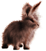 <img:stuff/FluffyBunnyRustySM.png>