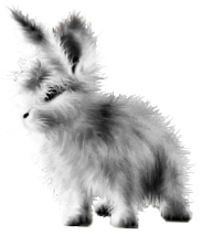 <img:stuff/FluffyBunnySilverRev.png>