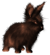 <img:stuff/FluffyBunnySunburntBlk.png>