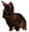<img:stuff/FluffyBunnySunburntBlkRevSM.png>
