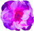 <img:stuff/Flwr3Bullet.png>
