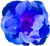 <img:stuff/Flwr5Bullet.png>