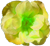 <img:stuff/Flwr7Bullet.png>