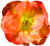 <img:stuff/Flwr8Bullet.png>