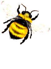 <img:stuff/FlyingBumblebee_right.png>