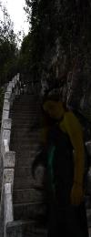 <img100*0:stuff/Follow_me.jpg>