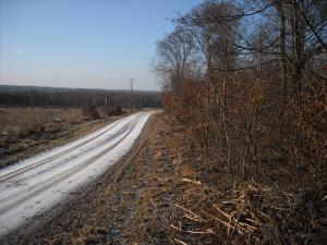 <img300*0:stuff/Following_this_%3aP.jpg>