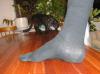 foot photo reference