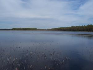 <img300*0:stuff/Forest_Lake.jpg>