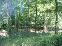 <img200*0:stuff/Forestghost2.jpg>