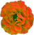 <img:stuff/FrillyFlwrBullet7.png>