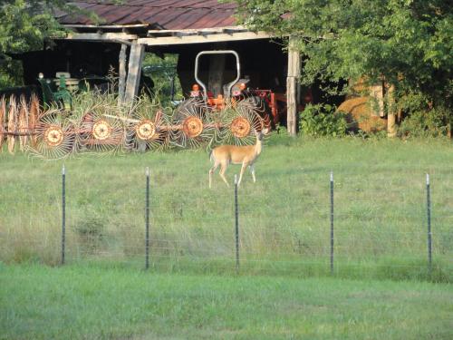 <img500*375:stuff/From_My_Back_Door.jpg>