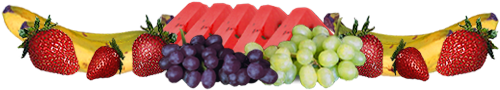 <img:stuff/FruityDivider-many_9.png>